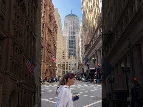 Downtown Chicago 🏙️🇺🇸 #usa #chicago #chicagocity #windycity #chitown #illinois
