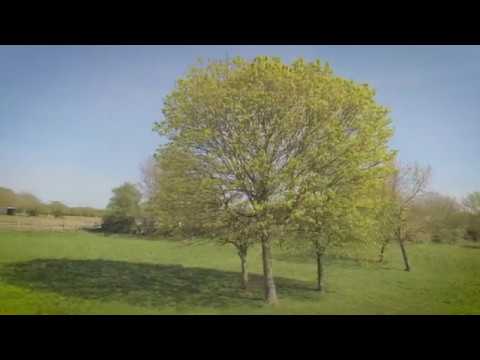 Wakefield & Ossett during Lockdown 2020