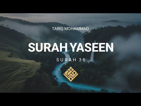Listen to Surah Yaseen with English Subtitles | Inspiring Quran Recitation