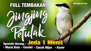 Download lagu MASTERAN KILLER JINGJING PETULAK FULL TEMBAKAN mp3