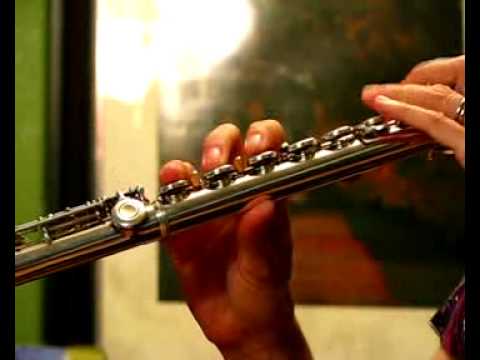 Yamaha 381 Intermediate Used Flute for Sale - Low to Mid Range Demo