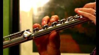 Video thumbnail for Yamaha 381 Intermediate Used Flute for Sale - Low to Mid Range Demo by Flutastic!