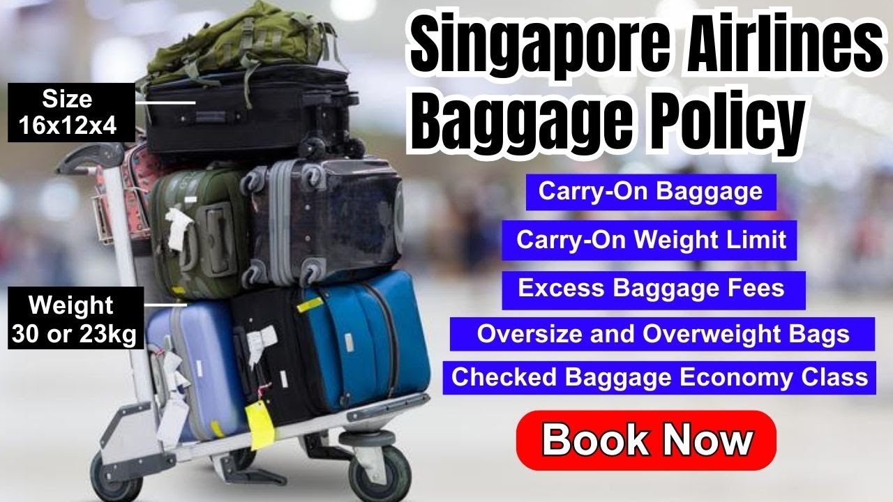 How much baggage can you bring on Singapore Airlines? More REF