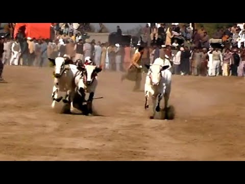 HAMZA SKY VIDEO FATEH JANG