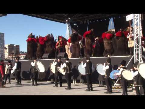 #ONESTI - Festivalul de Datini si Obiceiuri FILMARE #EXCLUSIVTV