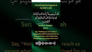 Download lagu Surah At Tawbah - Verse 51 #spiritual delights'. mp3