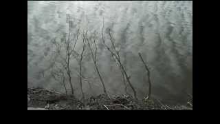 my groove, your move