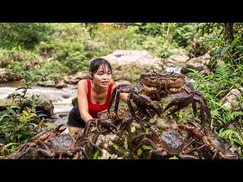 Harvesting Large Stone Crabs In The Tropical Forest Creek To Sell At Market | Peaceful & Happy Life