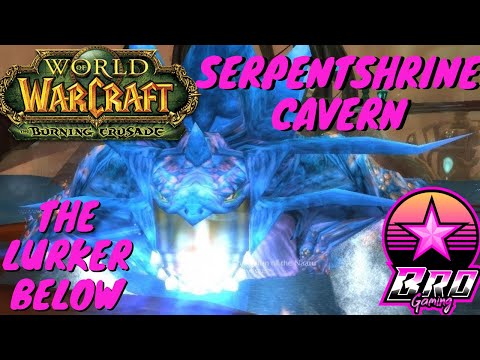World of Warcraft: Burning Crusade Serpentshrine Cavern The Lurker Below Protection Paladin POV
