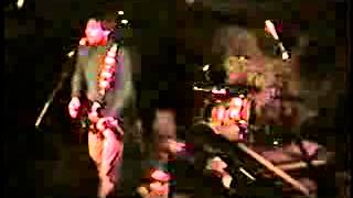 The Samples Sean Kelly Nature solo