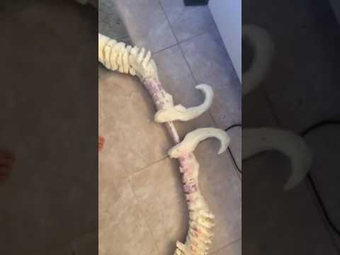 Sylvanus windrunner bow part 2