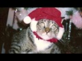 Set Your Goals - Reset (Holiday Version) 