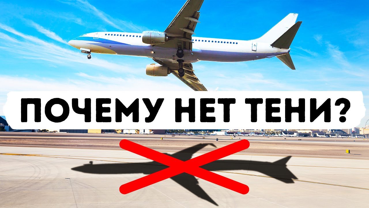 Почему птицы и самолеты не отбрасывают тени