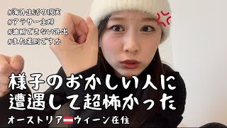 【思わず緊急で動画まわした】分かりやすい差別/けしからん/クリスマスマーケット/ウィーン在住主婦の日常/旅行から帰って早々・・・