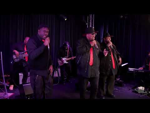 Wylde Bunch Performs 24K Magic