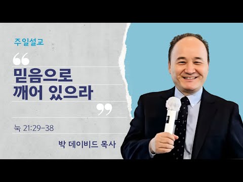 영상
