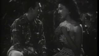 Heart of Chambers -Beach House