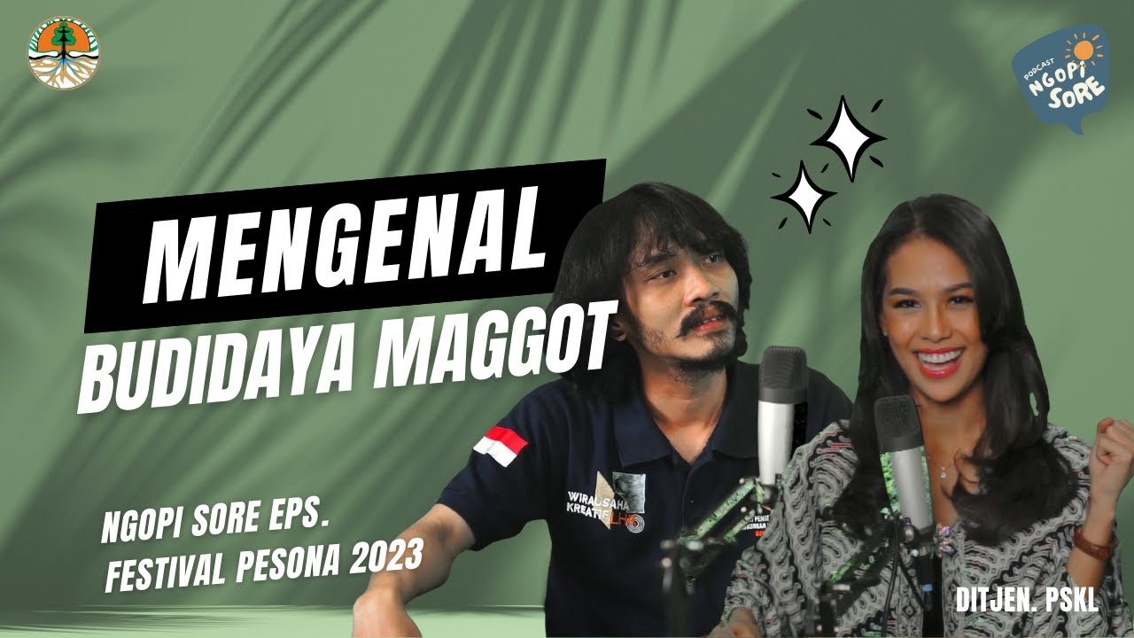 NGOPI SORE EPISODE PESONA 2023 (Mengenal Budidaya Maggot)
