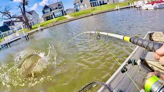 Fishing for Shallow Water GIANTS!
