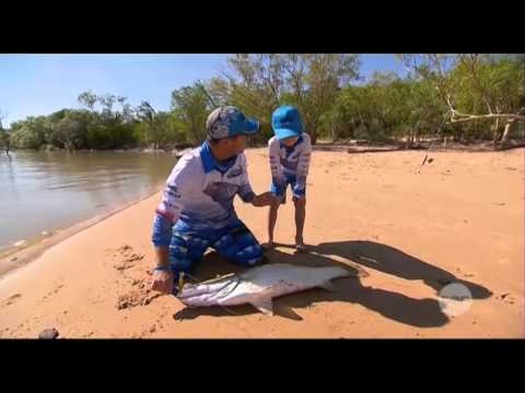HeliFish