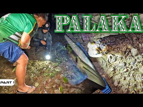 P1-MASAYANG PANGINGILAW NG PALAKA - EP1413