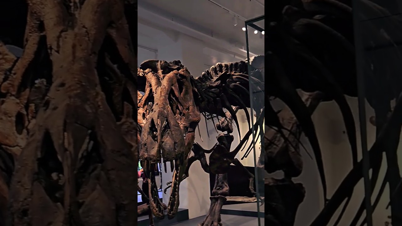 YouTube Short thumbnail