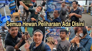 Download lagu Pasar Ikan Hias Jatinegara Semua Hewan Peliharaan ... mp3