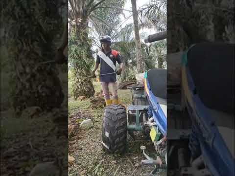 Utu mo au.  Tānaki mo to'o #sio #poupou'iau #lesisita #vahevahe #tq