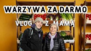 Zebraliśmy darmowe warzywa #foodsharing - Vlog z mamą