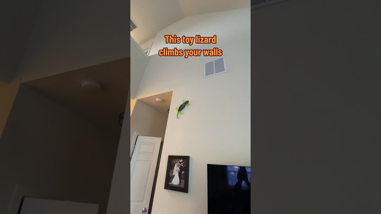 These Wall-Crawling Gecko Robots Are Actually Little Vacuums