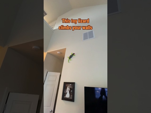 Vídeo relacionado con snookids Lagarto Teledirigido, Lagartija Teledirigida Gecko Radio Control Robot Juguete con Ojos LED Brillantes Movimientos Realistas, Regalos Fiesta de Cumpleaños Niños y Niñas de 3, 4, 5, 6, 7 y 8+