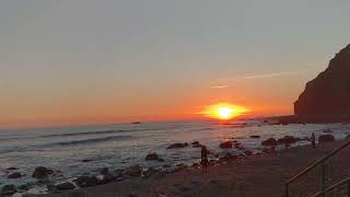 Out Joe Cocker - Just Like Always (2017)