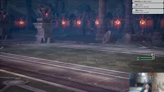今日はさくさくドラクエ　主人公のみ縛り
