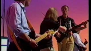 Fairport Convention : Royal Seleccion no. 13, live 1986