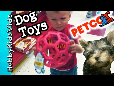 Petco Dog Toy Haul! HobbyPuppy Goes Shopping Fun Pet Toys HobbyKidsVids