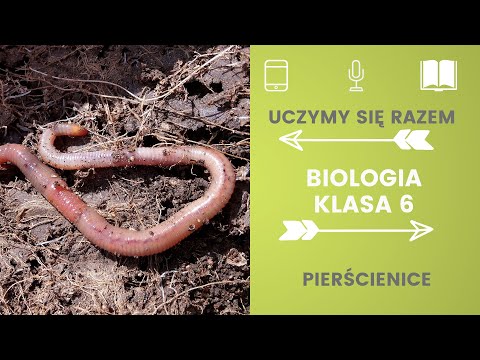 Biologia klasa 6. Pierścienice. Uczymy się razem