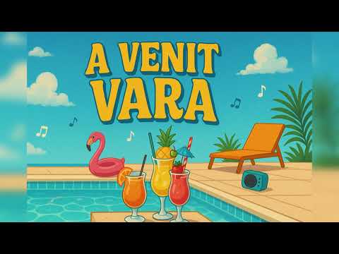 Andrei BRB - A VENIT VARA (Official Audio)