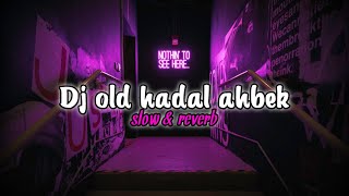 Download lagu Dj old hadal ahbek - slow & reverb mp3