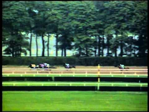 Cigar - 1995 Jockey Club Gold Cup (G1)