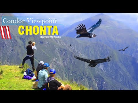 Fly of the Condor in Chonta Canyon – Full Day Tour