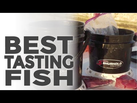 Buckets Help Keep your Catch Tasting its Best!