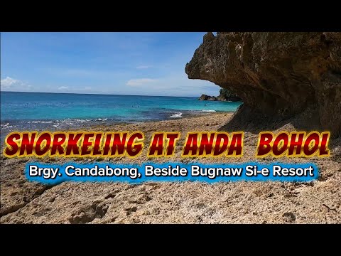 SNORKELING AT ANDA BOHOL