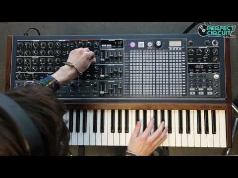 download lagu mp3 mp4 Maxi Brute, download lagu Maxi Brute gratis, unduh video klip Maxi Brute