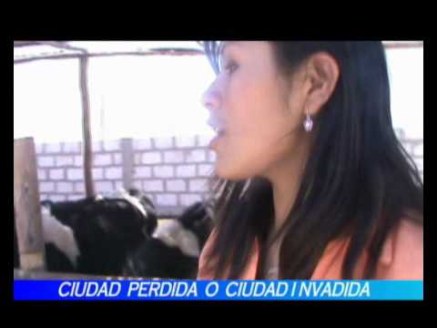 CIUDAD PERDIDA ESTA MAS POBLADO POR MARIO MAMANI EN MAJES  EL PEDREGAL  AREQUIPA PERU