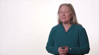 Melanie Mayes: Understanding soil carbon