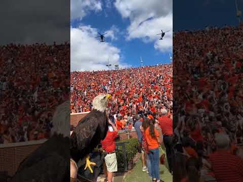 This is the America 🇺🇲#america #american #unitedstates #usarmy #usnavy #usaf