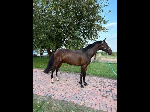 Illimitation ☆ (IMAGINATION x EMIR R) - Video 4 video thumbnail