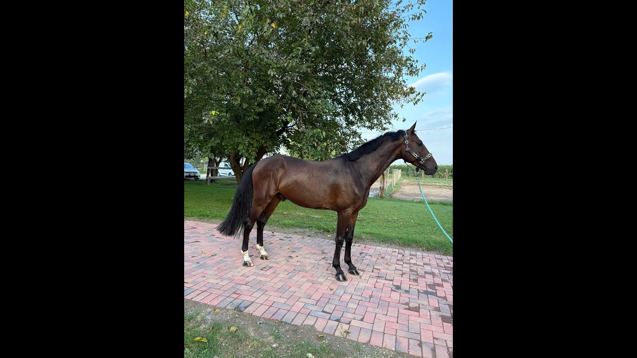 Illimitation ☆ (IMAGINATION x EMIR R) video 1