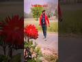 Viral Phool Phool Pe Bani Teri Tasvir Shorts