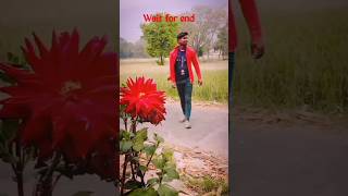Download lagu |#viral|phool phool pe bani teri tasvir #shorts. mp3 Download lagu |#viral|phool phool pe bani teri tasvir #shorts. mp3